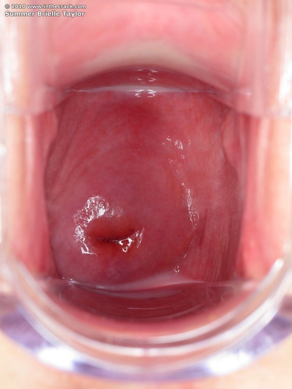  Брайли Тейлор - 78 фото  70 фотка