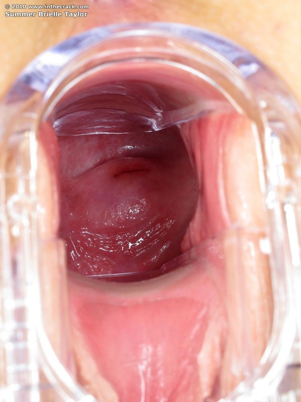  Брайли Тейлор - 78 фото  75 фотка