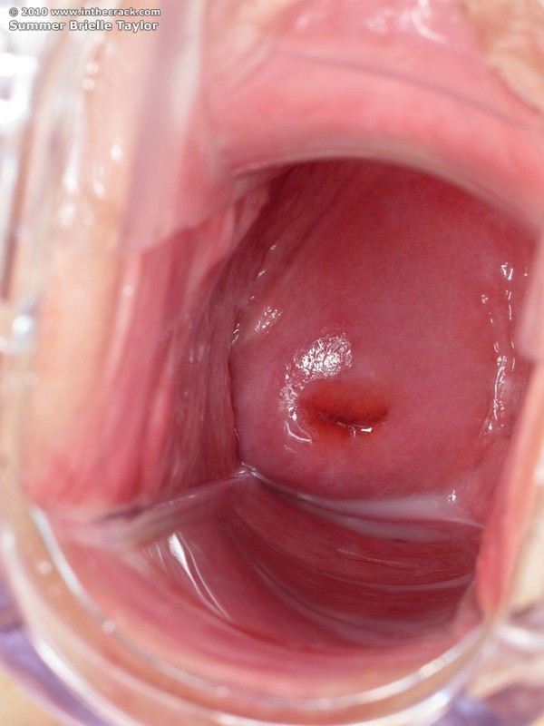  Брайли Тейлор - 78 фото  72 фотка